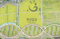 微信图片_20250117163229.png