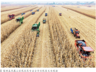 微信图片_2025-07-10_144001_908.png
