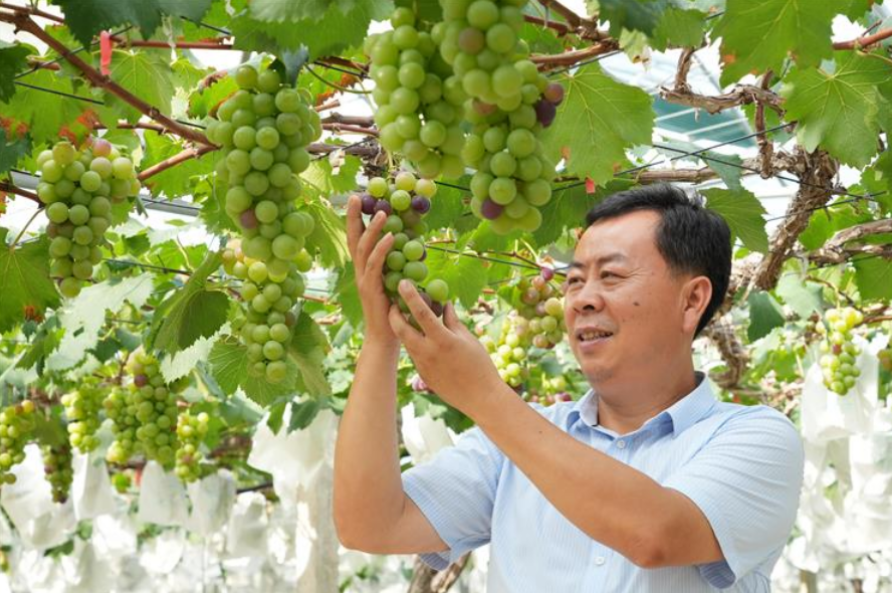 微信图片_2025-07-28_150711_297.png